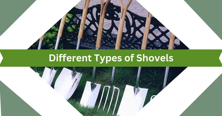 A variety of shovels and garden tools are lined up on a grassy lawn